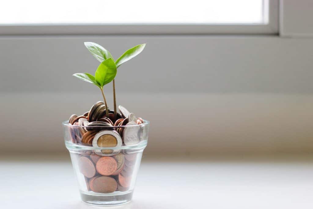 Argent dans un pot de fleur avec une plante qui grandie grâce aux économies
